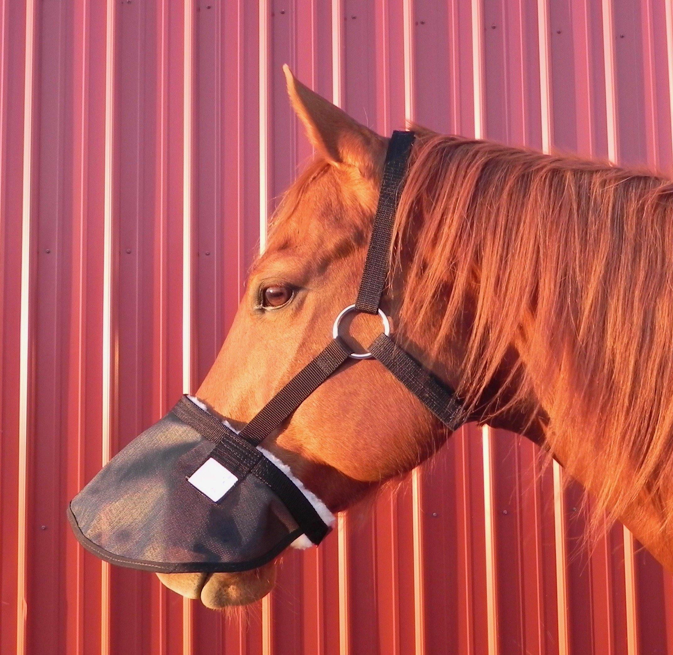 Protege Nez Anti UV 90% avec licol - SHOPHORSE